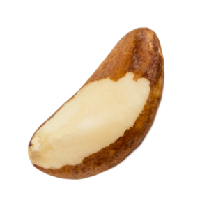 Brazil Nuts