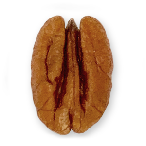 Pecan Nuts