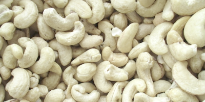 Cashew Positive Release System in Vietnam