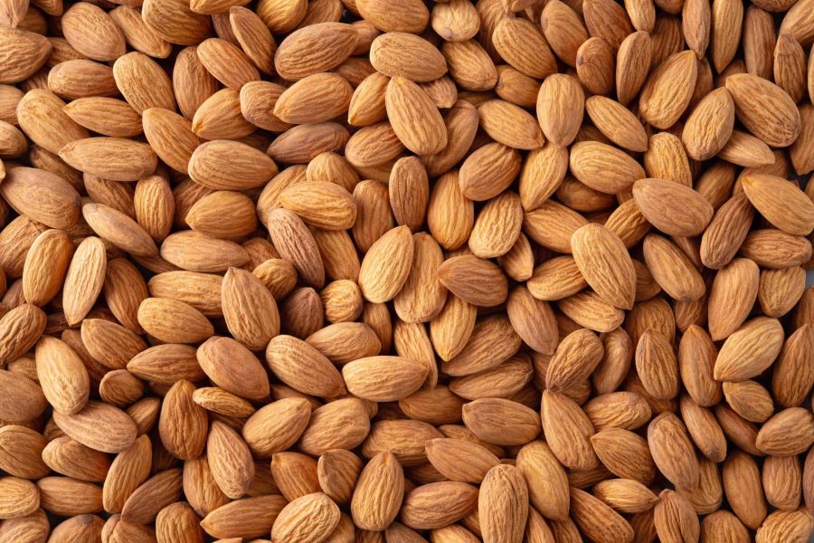 Almond (1)